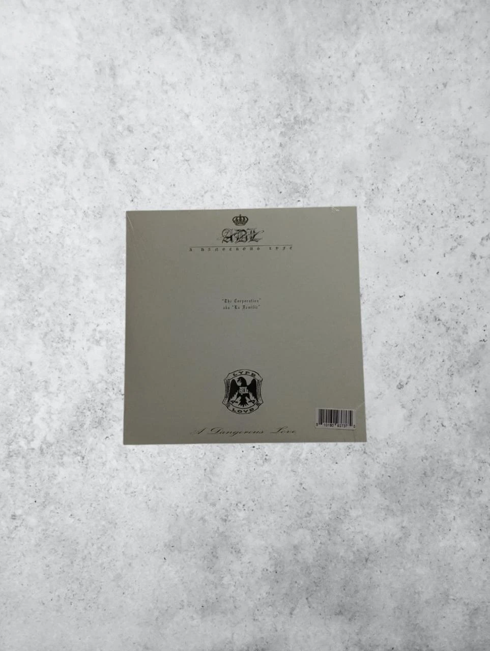 ADL 2LP Vinyl [ERAS EDITION] – photo 2